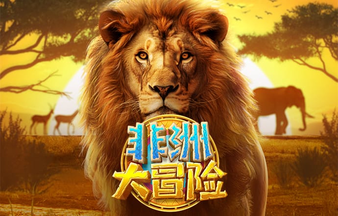 ng南宫28官网
